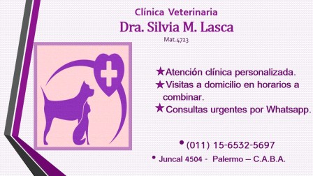 Clínica Veterinaria3
